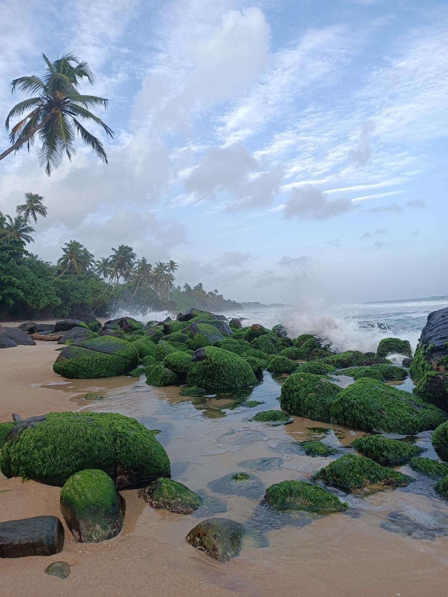 Beach House Kalukatiya - Family Villa, Seaview Room, Garden Room Dickwella Exterior photo
